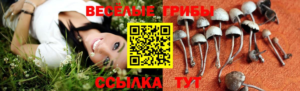 Бутурлиновка  где продают   Вход с VPN  Псилоцибиновые грибы ЛСД 